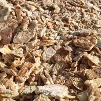 نان خشک فروشی کسی خواست دارم