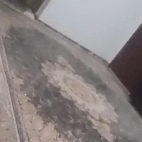 فرش