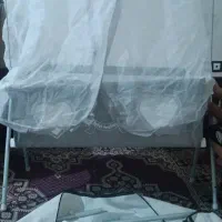 گهواره دلیجان