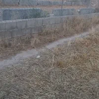 زمین-مسکونی