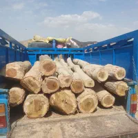 خرید ضایعات انواع چوب باغی