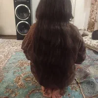 مرکزاصلی مو