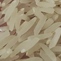 برنج طارم دم‌سیاه .فجر