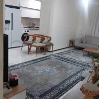 فرش ۶متری دو عدد در حدنو