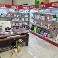 استخدام منشی خانم