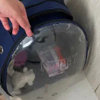 کیف حمل حیوانات