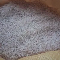 برنج عطری فجر شمال