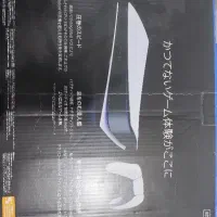 ps5 fat