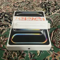 Ipad pro m4 13 inch cellular + apple pencil pro