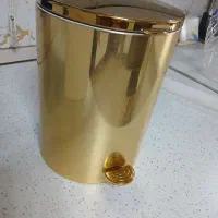 سطل سرویس بهداشتی طلایی