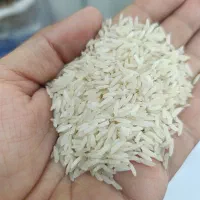 فروش عمده برنج ایرانی هاشمی صدری فجر