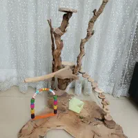 نشیمن گاه درختی