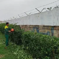خدمات تمامی فضای سبزانجام میشود