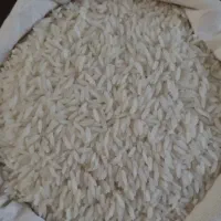 برنج هاشمی و‌ نیم دانه هاشمی