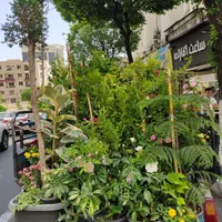 خدمات باغبانی و گل کاری|خدمات باغبانی و درختکاری|تهران, نظام‌آباد|دیوار