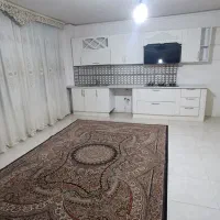 ۵۰متر ط اول / خوش نقشه / کارگر جنوبی زربافیان