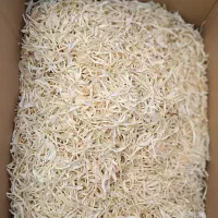 خلال پیاز خشک