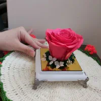 گل رز جاودان صورتی ارسال رایگان