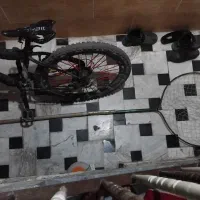کفتر|ماهیگیری|قم, امامزاده ابراهیم|دیوار
