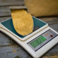 پودر زنجبیل خالص