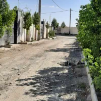سرایدار محدوده نمکلان هشتگرد
