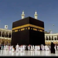 فیش عمره