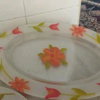 ظرف آکروپال نو
