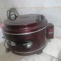 گل فر