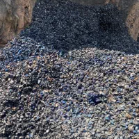 کربن پوست پسته
