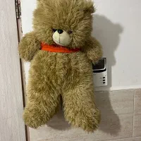 خرس بزرگ