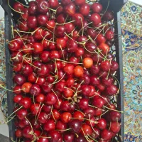فروش گیلاس اورگانیک