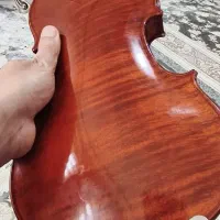 تی اف 800 tf|ویولن|اصفهان, باغ زرشک|دیوار