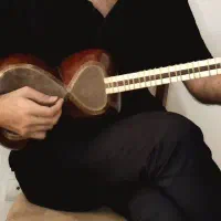 تار خوش صدا و حرفه ای