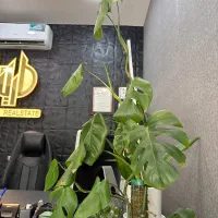پیش-فروش-آپارتمان-سه-خواب-حیاط-اختصاصی