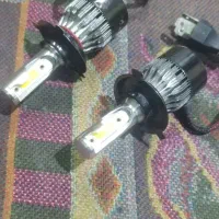 هدلایت یا زنون