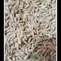 فروش جو