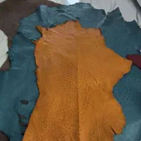 چرم شتر مرغ