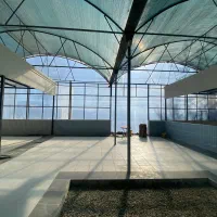 شیشه سکوریت/پنجره upvc/کرکره برقی/توری پلیسه/