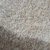 فروش برنج چمپا عنبر بو