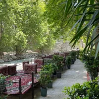 کار در رستوران سالن کار  گارسون