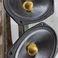 میدرنج خانگی کیفیت عالی به شرط