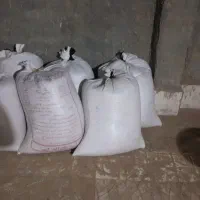 جو تمیز