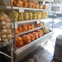 یخچال پرده هوا دومتری الکترواستیل