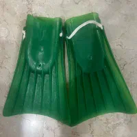 فین شنا / باله / غواصی
