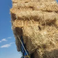 پرس کاه و کلش