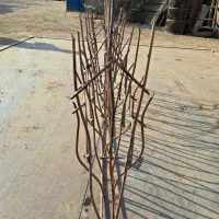 اجرای حفاظهای رو دیواری شاخ گوزنی وسرنیزه