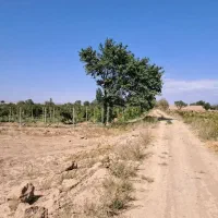 دنیای-چهاردیواری-نیمه-کاره-باغی-با-بهترین-قیمت-ها
