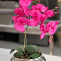 گل مصنوعی|گل مصنوعی|تبریز, |دیوار