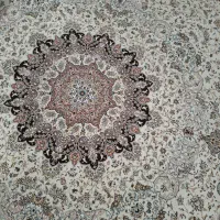 فرش. 6.  متری پاتریس