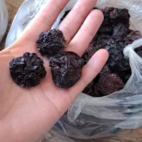 آلوشابلون و زرد آلو